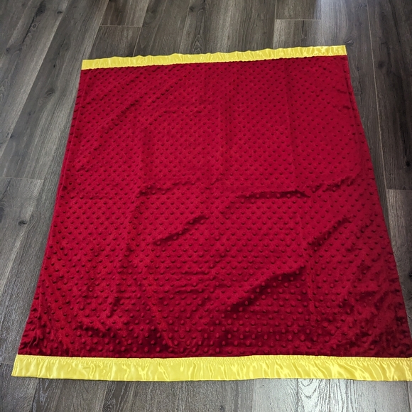 Minion Mania cotton and velvety soft blanket. Satin trim. Possibly hand made. - Picture 3 of 5